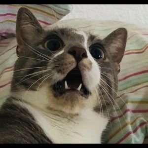 Meet your Posher, Yevgeniya